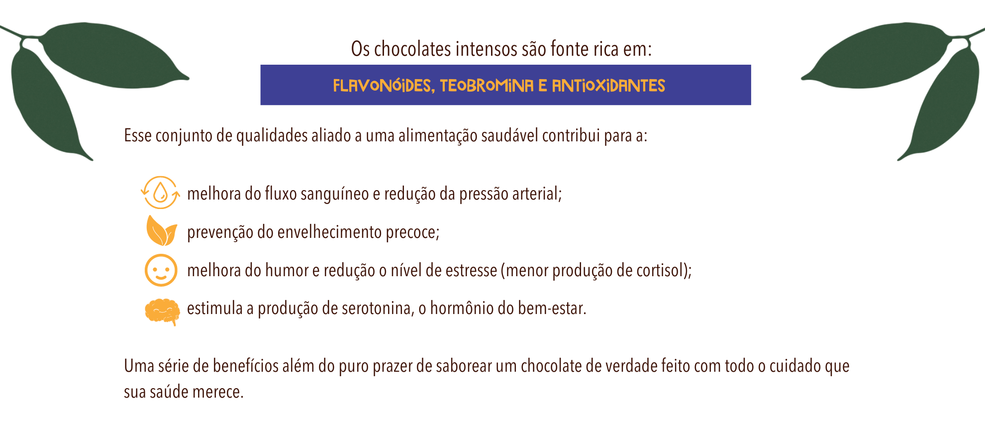 chocolate intenso 60